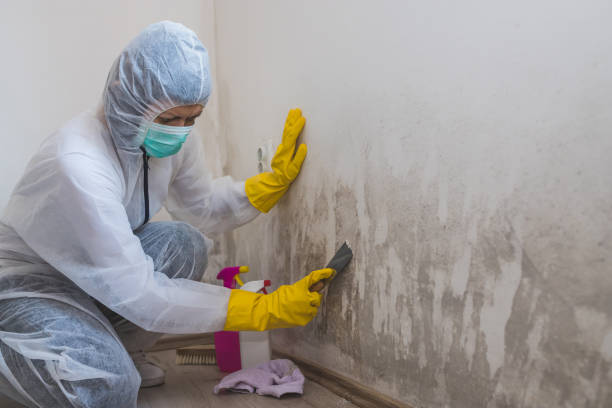 Mold Documentation for Insurance Claims in Pepper Pike, OH