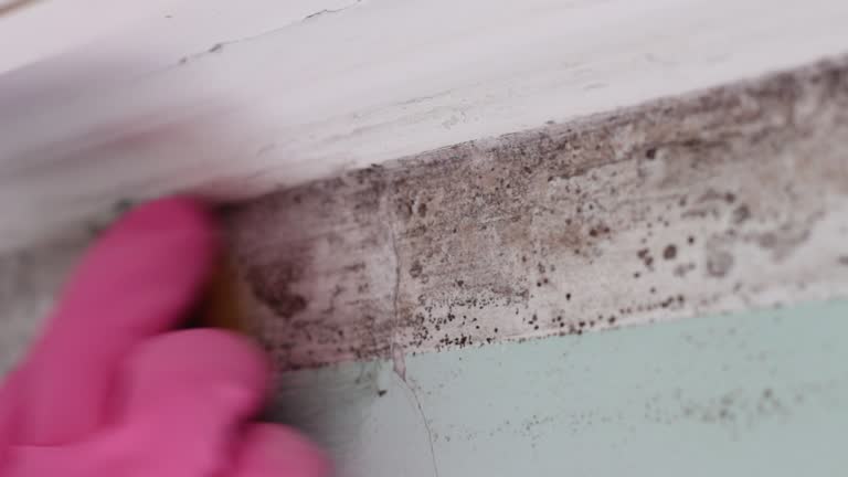 Forensic Mold Investigation in Pepper Pike, OH